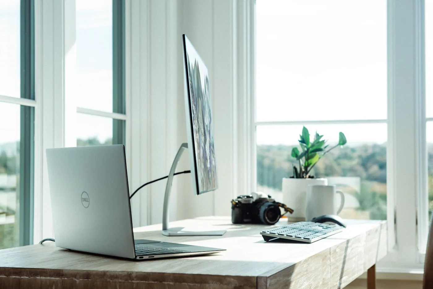Dedicated Desks — Altura Workspaces, Terminal One